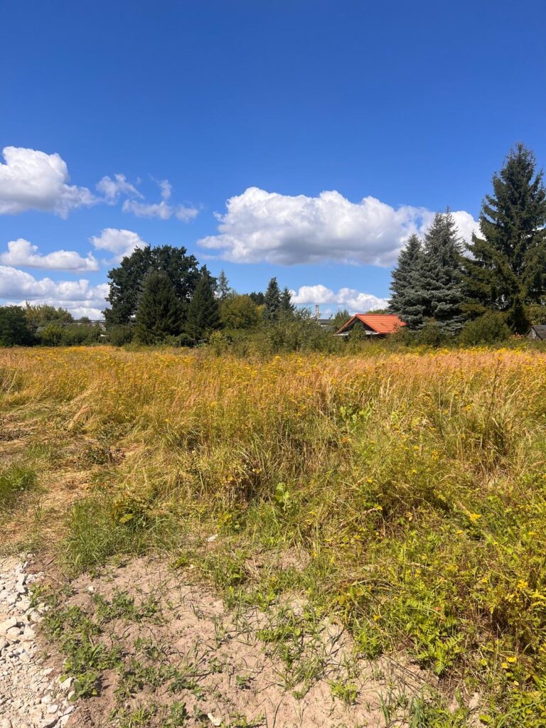 2892c57f c8a7 43b2 a013 5b7fd34563bb