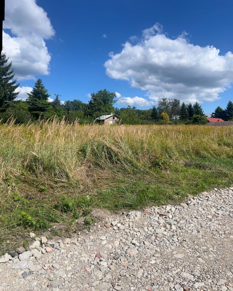 6984f37f 643f 4b49 aa7e e02c96b1b8ca