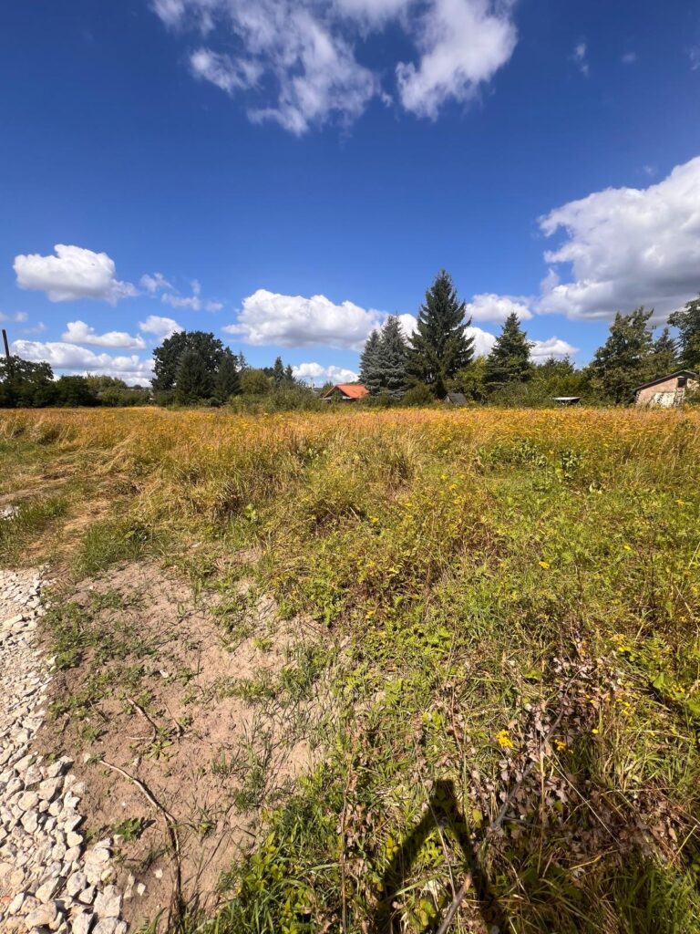 70012bf8 c2f1 420e b18d 25df98c5c914